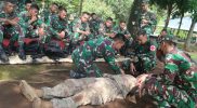 Prajurit Yonif Mekanis Raider 411 Kostrad, Latihan Tactical Combat Casualty Care