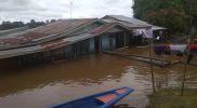 Tempunak Kabupaten Sintang Mengalami Banjir Berharap Pemerintah dan DPRD Memantau Turun Lapangan