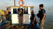 TNI AL Selamatkan Kapal Nyaris Tenggelam Akibat Kebocoran di Kepri