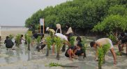 Pulau Pramuka Jadi Lokasi Kerja Sama LindungiHutan dan Smiling Coral Indonesia