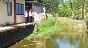 Pemantauan Pertanian Padi di Polsek Polongbangkeng Utara