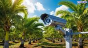 Rekomendasi CCTV Outdoor untuk Perkebunan, Peternakan, dan Proyek Pembangunan