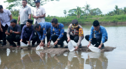 Polres Takalar Dukung Program Ketahanan Pangan, Sebar Benih Ikan Bandeng Bersama Forkopimda