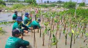 LindungiHutan: Platform Kolaborasi untuk Perusahaan Melakukan Penghijauan dan Mitigasi Perubahan Iklim