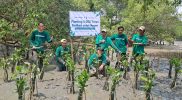 Dedikasi untuk Negeri: Bank Indonesia Dukung LindungiHutan Tanam 20.000 Pohon Bakau