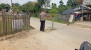 Warga Desa Gampong Tanjung Idi Rayeuk Tanam Pohon di Bekas Galian PDAM, Kondisi Lokasi Pekerjaan Bikin Geram