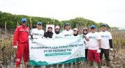 PTPP Hijaukan Pesisir Tambakrejo dengan 1.000 Mangrove, Lindungi  Masyarakat dari Abrasi dan Perubahan Iklim