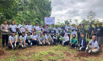 Dukung Keberlanjutan Lingkungan, PT PHC Indonesia Tanam 500 Pohon Alpukat di Desa Pasirbungur