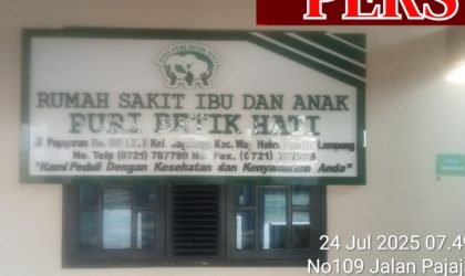 Pelayanan rumah sakit ibu dan anak Puri betik hati sanggat bagus dan pasien merasa senang 