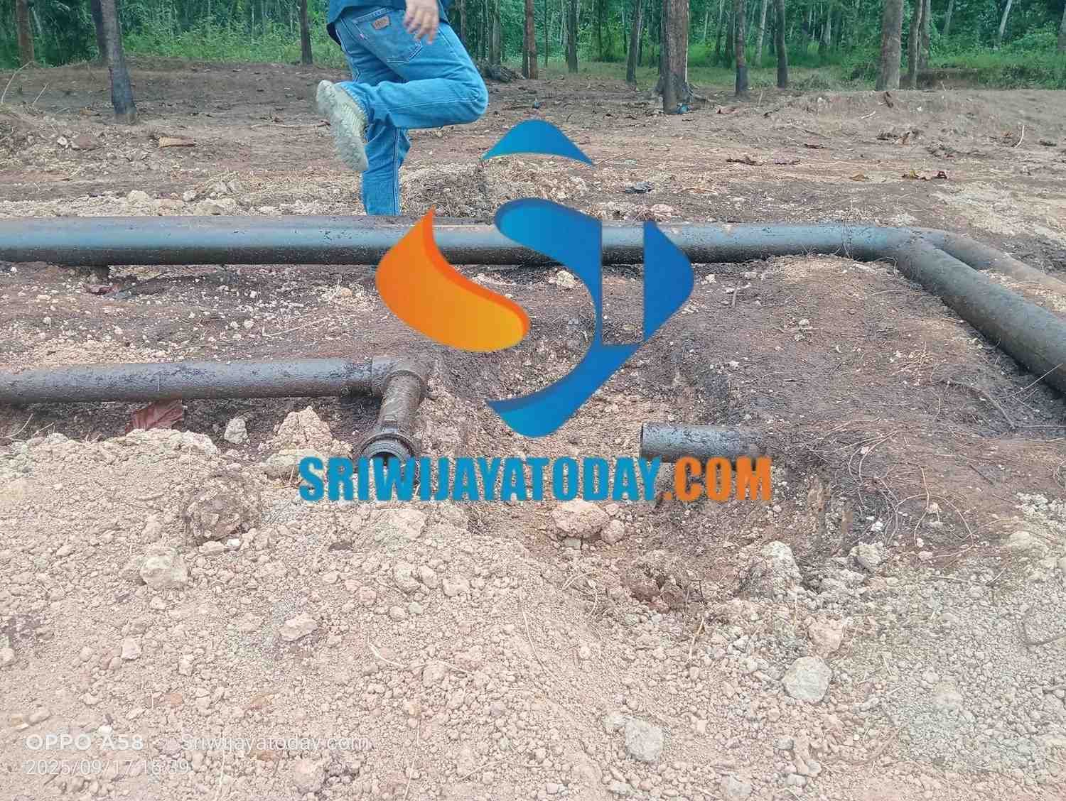 Pipa Pertamina Adera Pecah di Raja 45, Kebun dan Sawah Warga Tercemar Minyak